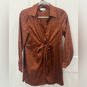 Silk Cheetah Print Dress - Burnt Orange